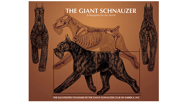Giant Schnauzer Illustrated Standard — Cover/Book Design