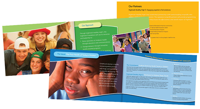 Highmark High 5 — Brochure & Banner